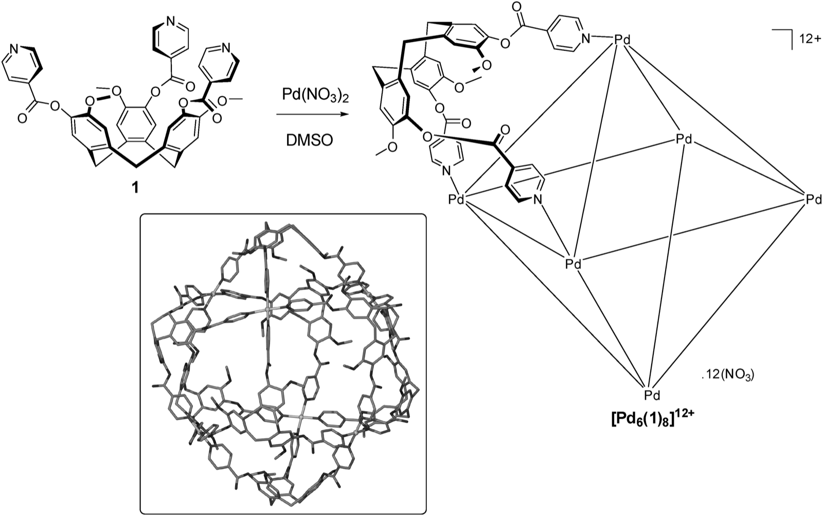 Auto-assemblage du ligand tripode et de Pd(II) en une cage stella octangula